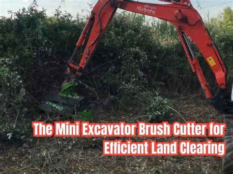 clearing trees with mini excavator|clearing small trees and brush.